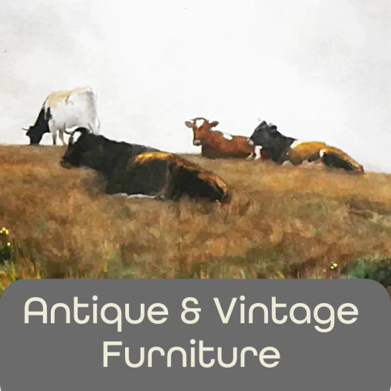 Arthur Johnson Auctioneers - Antique & Vintage Furniture Auction - Auction Image 1