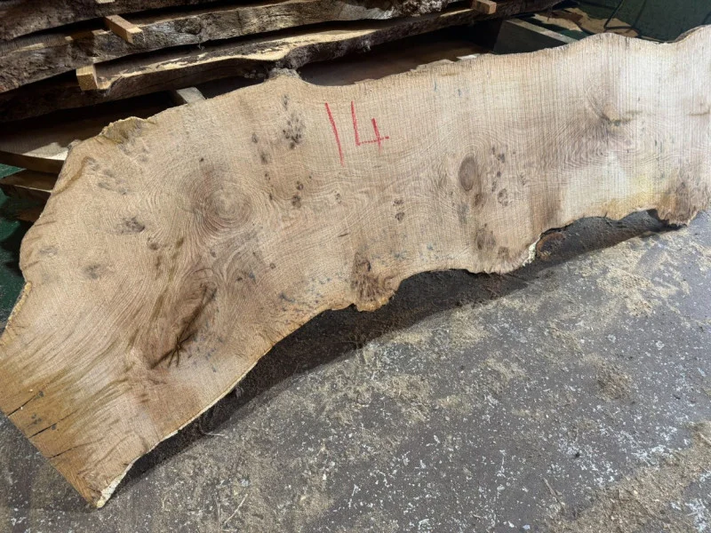 BPI Auctions - Live Edge Timber Slab Auction to include Sapele, Spalted & Pippy, Pippy English, English Oak, English Walnut Coin / Cookie, Yew, Sycamore & more - Auction Image 3