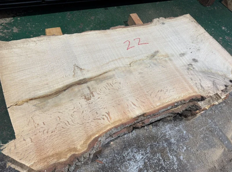 BPI Auctions - Live Edge Timber Slab Auction to include Sapele, Spalted & Pippy, Pippy English, English Oak, English Walnut Coin / Cookie, Yew, Sycamore & more - Auction Image 4