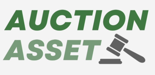 Auction Asset Limited logo