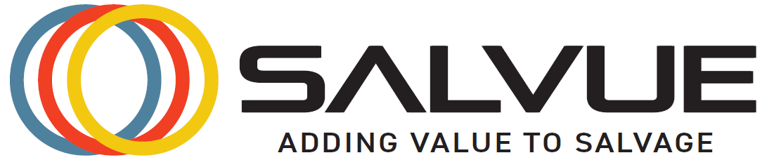 Salvue Ltd. logo