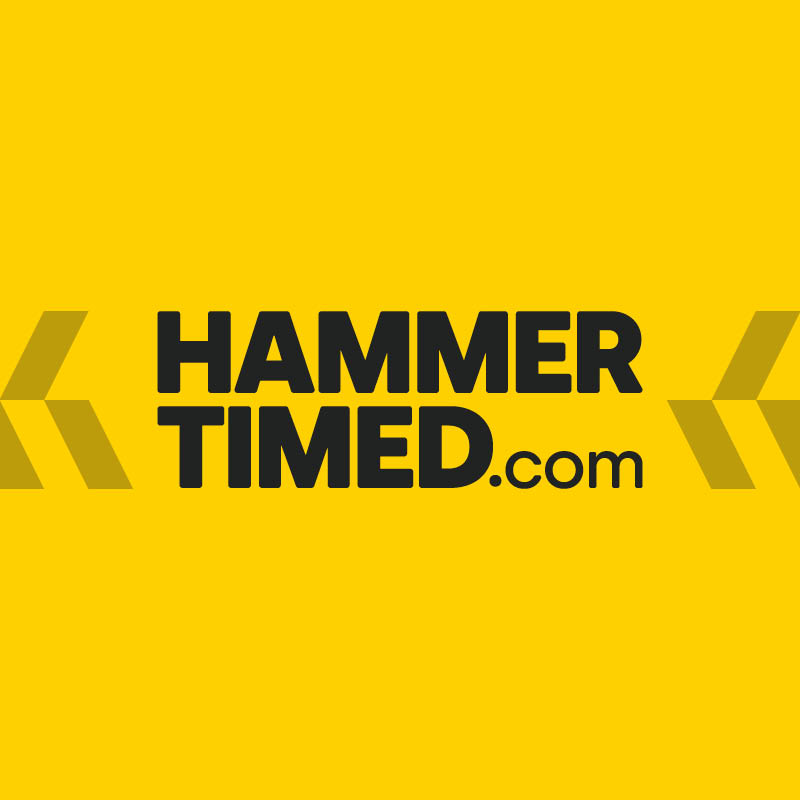 Hammer Timed Ltd logo