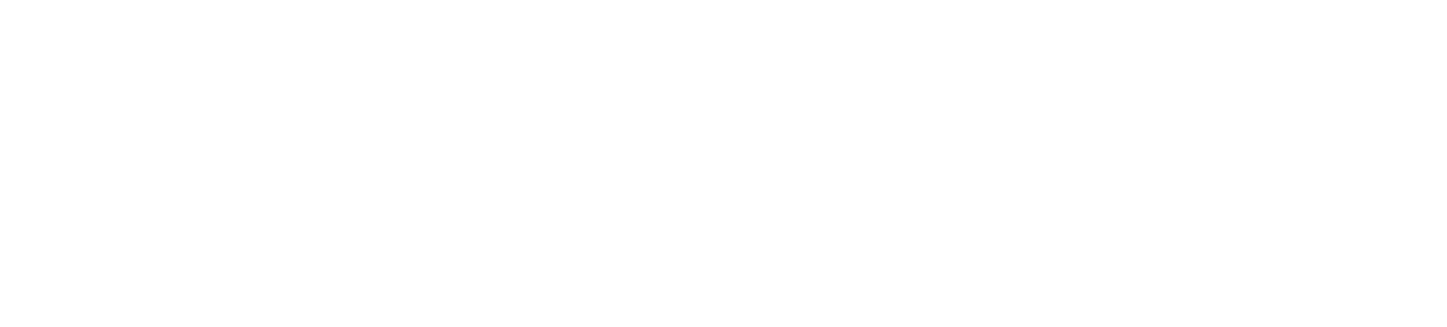 auctioneer logo