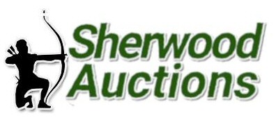 auctioneer logo