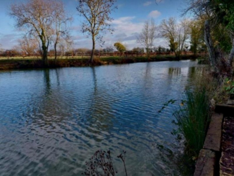 William George - Freehold Fishery, Lake and Land For Sale with Planning Permission for Holiday Lets - Auction Image 5